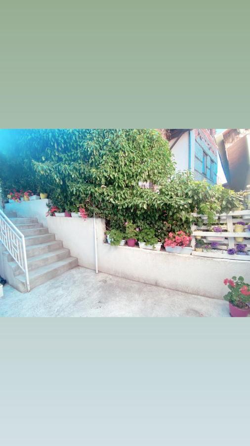 Galeb Apartment Ohrida Exterior foto