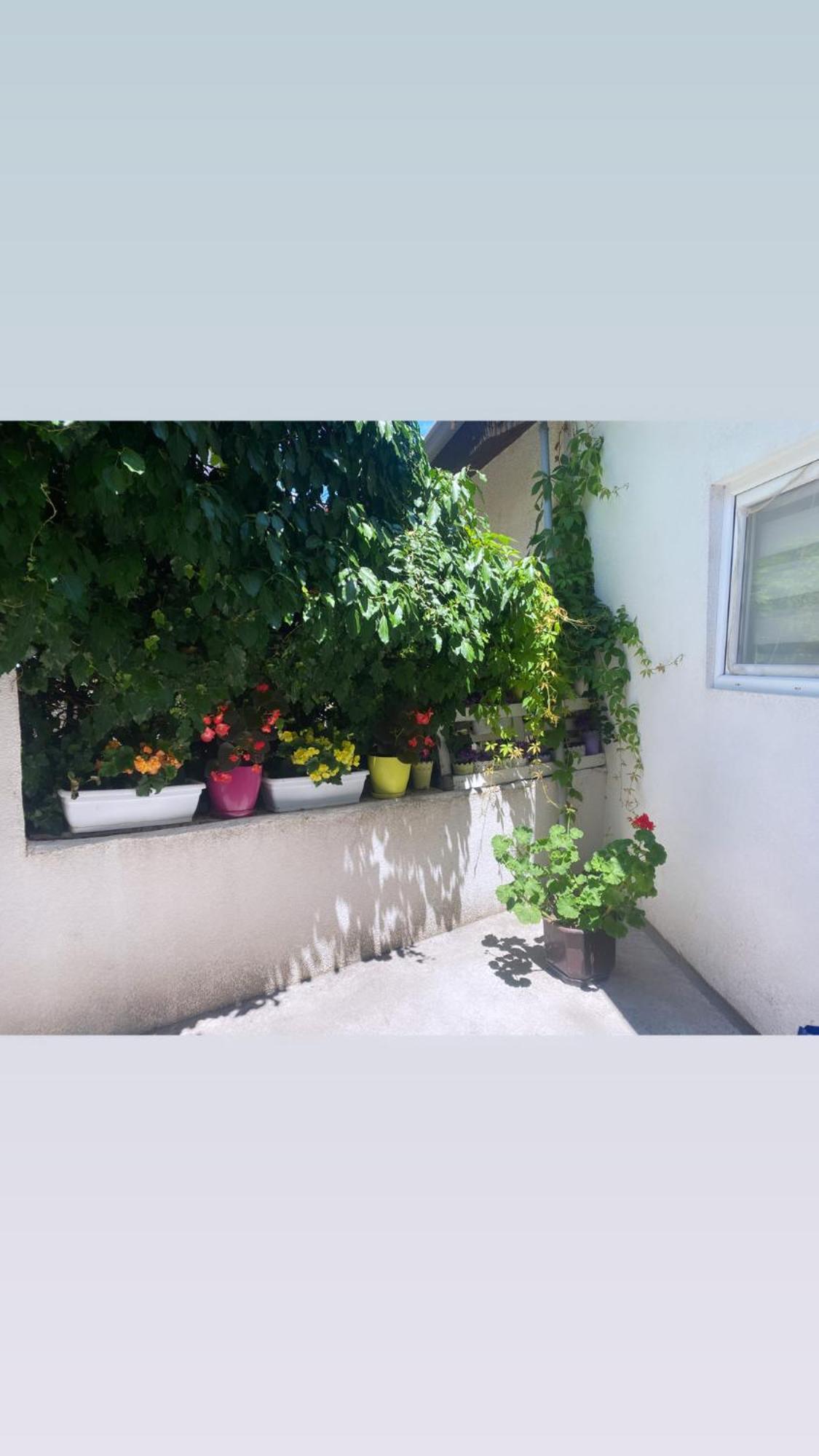 Galeb Apartment Ohrida Exterior foto